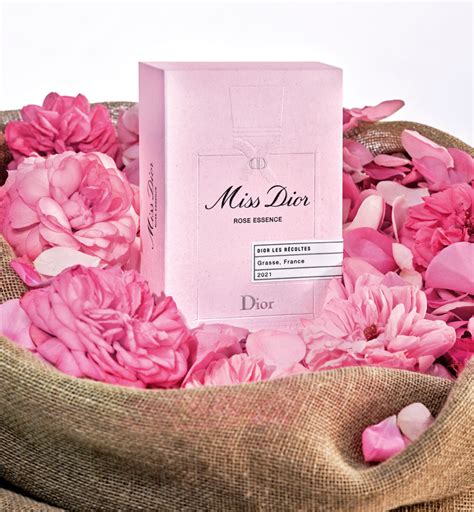 miss dior rose essence 100ml|miss dior perfume cheapest price.